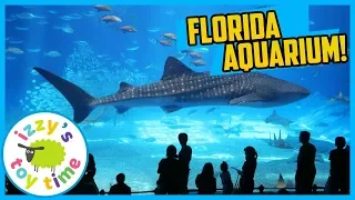 FLORIDA AQUARIUM WITH THE FAM! Family Vacation VLOG AND SPLASH PAD!