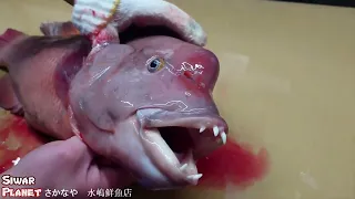 Asian Sheepshead fish Skinning Skills  (Kobudai)