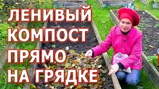 Ленивый компост за 2 минуты прямо на грядке! Супер способ!💥💥💥