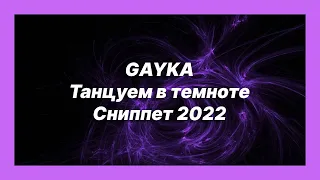 🎧 Новая песня GAYKA - Танцуем в темноте (Сниппет 2022)