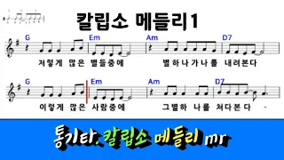 통기타 칼립소 메들리1 / 신나는 반주mr