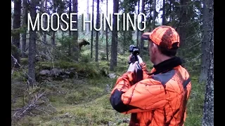 NH: Moose hunting in Finland | 2016