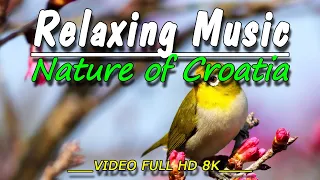 Croatia Nature video 8K - Relaxing Music - Heals Stress, Anxiety And Eliminates  - music lyrics