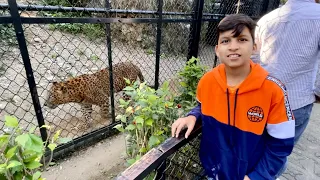 Tiger Ne Dara Diya 😲 Zoo Mein