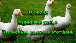 10 июня. Праздник «Никитин день». Народные приметы.