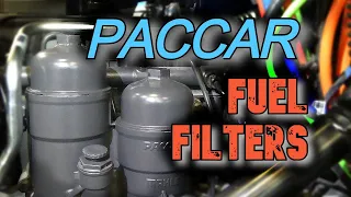 Paccar Fuel Filter Change!!