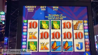 Big Bonus!! 💰🦋🐠- Brazil Slot Machine - $5 MAX BET