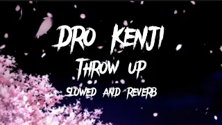 Dro Kenji - Throw Up (slowed and reverb)