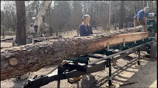 Sawmill shed Part 2, cutting a 24 foot long beam on a 16 foot sawmill! Woodland mills HM122.