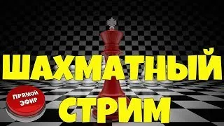 Стрим шахматы на chess.com