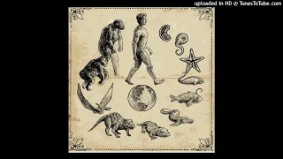 همه آنچه درباره نظریه تکامل داروین باید بدانیم