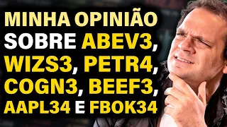 Minha opinião sobre: ABEV3, WIZS3, PETR4, COGN3, BEEF3, AAPL34 e FBOK34