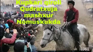 Kupkari qiroli Qudratxuja Ahmad fermerni mashxur Nomus kukida 100$ga marra qildi "@"BESHBULOQ TV,