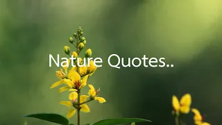 Nature Quotes...