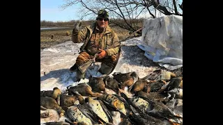 Охота на гуся и утку в пойме реки Камчатка 2019 г