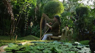 Alizbar / Celtic Harp/ Кельтская Арфа /India/ Chakra/ Kerala / Indian Dream/ Thiruvananthapuram