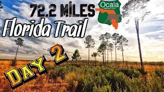 Florida Trail Ocala National Forest 72.2 Miles - Day 2