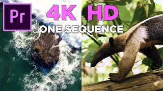 Edit Video with Mixed Resolutions | 4k and HD Footage - Premiere Pro Tutorial
