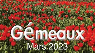 GEMEAUX mars 2023 ~ Illumination !!!