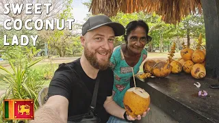 $0.51 KING Coconut from QUEEN in Colombo, Sri Lanka 🇱🇰