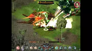 Sacred Veteran Mod - Wood Elf 216 lvl vs 4 dragons (niobium)