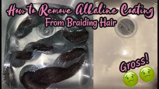 How to Clean Synthetic Hair Before Braiding | ACV Rinse for Braids | Gabrielle Ishell