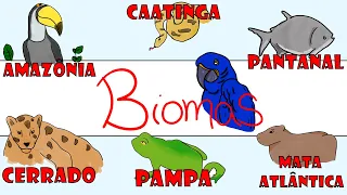 Principais BIOMAS Brasileiros - Resumo Ilustrado