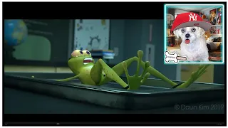 Don't Croak! - Funny CG Frog Dissection Spoof - Reaction by @ChopsicleTheDog