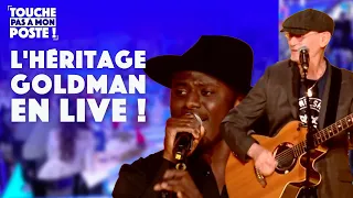 L'héritage Goldman - Medley (Live @TPMP)