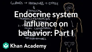 Endocrine system and influence on behavior - Part 1 | Behavior | MCAT | Khan Academy