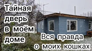 Тайная дверь в моём доме🏠 Вся правда о моих кошках🐈‍⬛