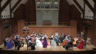 W. A. Mozart, Sinfonia concertante in E flat Major, K 364, Mvt. 1