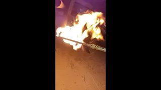 Killing Wasps With A Blowtorch