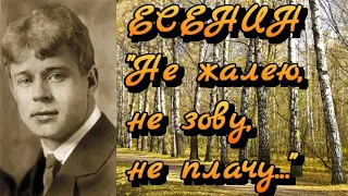 Сергей Есенин "Не жалею, не зову, не плачу" стихи