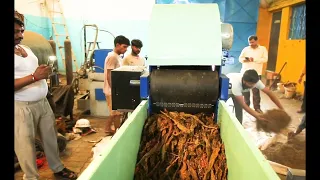 Tobacco leaf cutting machine