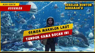 Bocah Ini Ternyata Anak Raja Atlantis | AQUAMAN