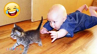 Cute and Funny Baby Cat Videos Compilation / Funny Baby Playing With Cats