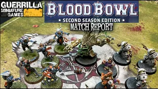 Blood Bowl 7's Match Report - Elves vs. Old World Alliance