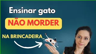 Como ensinar um gato a não morder na brincadeira? 😉