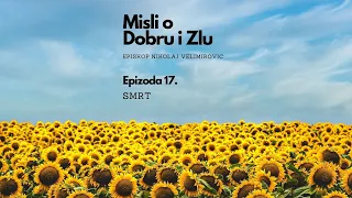 Misli o Dobru i zlu - Ep. 017 - Episkop Nikolaj Velimirovic #short