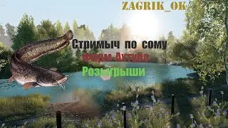 Русская рыбалка 4.Стримыч,фарм,Розыгрыши приманок каждые 15 минут.