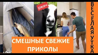 СМЕШНЫЕ СВЕЖИЕ ПРИКОЛЫ | Весёлая Утка