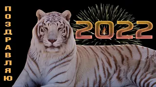 Поздравление с Новым Годом Тигра, Китайский Новый Год 2022, символ года Тигренок | Happy New Year