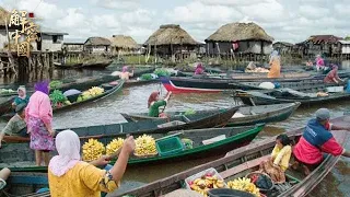 世界上最大的水上村落，位于东南亚文莱，42个村子居住着4万居民，已经有1300年的历史【畅游全球】