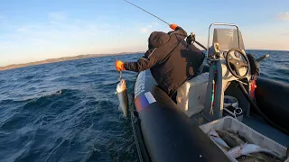 ТРЕСКА ИДЁТ ОТЛИЧНО / ЛОДКУ ОБЛЕПИЛИ ПОЛЧИЩА МУХ, ЕЛЕ УШЛИ / SEA FISHING