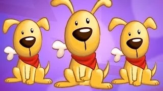 BINGO Children's Song - Learning Nursery Rhyme Video for Kids