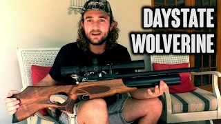 Meet the "Mystery Gun" - Daystate Wolverine B Type