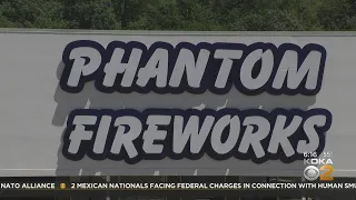Fourth of July fireworks in demand