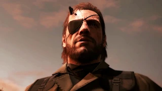 Metal Gear Solid - Pain