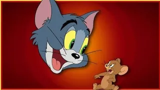 Tom and Jerry Episode: 74, 50 || Jerry and Jumbo 1953 || Tom and Jerry || Tom and Jerry||Tomandjerry